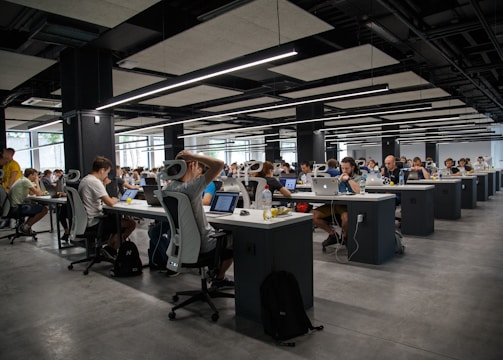people doing office works
